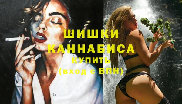 прущие грибы Нея