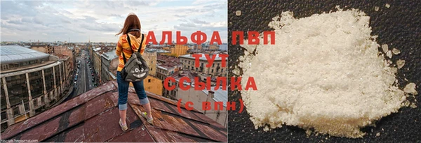 прущие грибы Нея