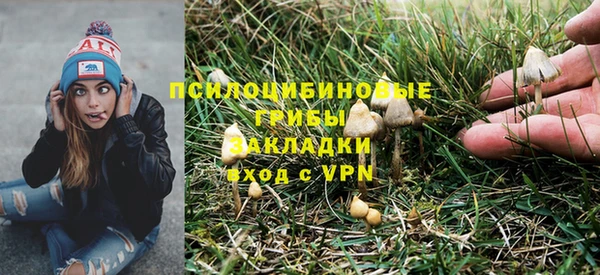 стаф Надым