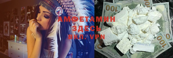 прущие грибы Нея