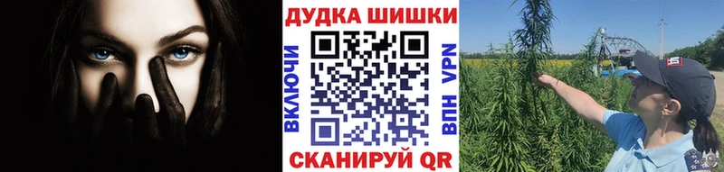 где купить наркоту  Кочубеевское  мега ТОР  Канабис ГИДРОПОН 